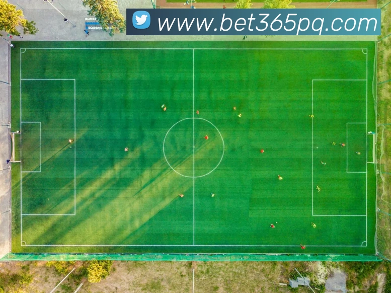bet365中国官网APP 封面图